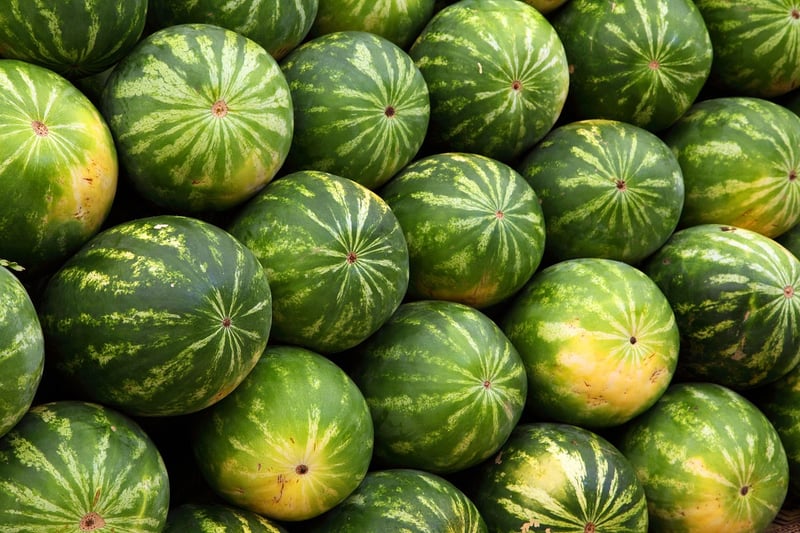 High-Quality Ingredients